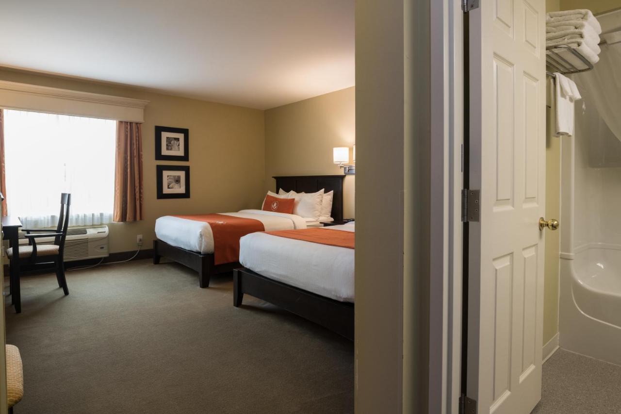 Amsterdam Inn & Suites サセックス エクステリア 写真
