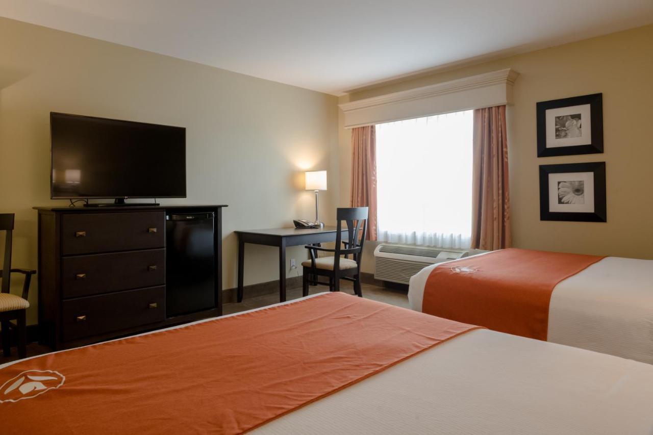 Amsterdam Inn & Suites サセックス エクステリア 写真