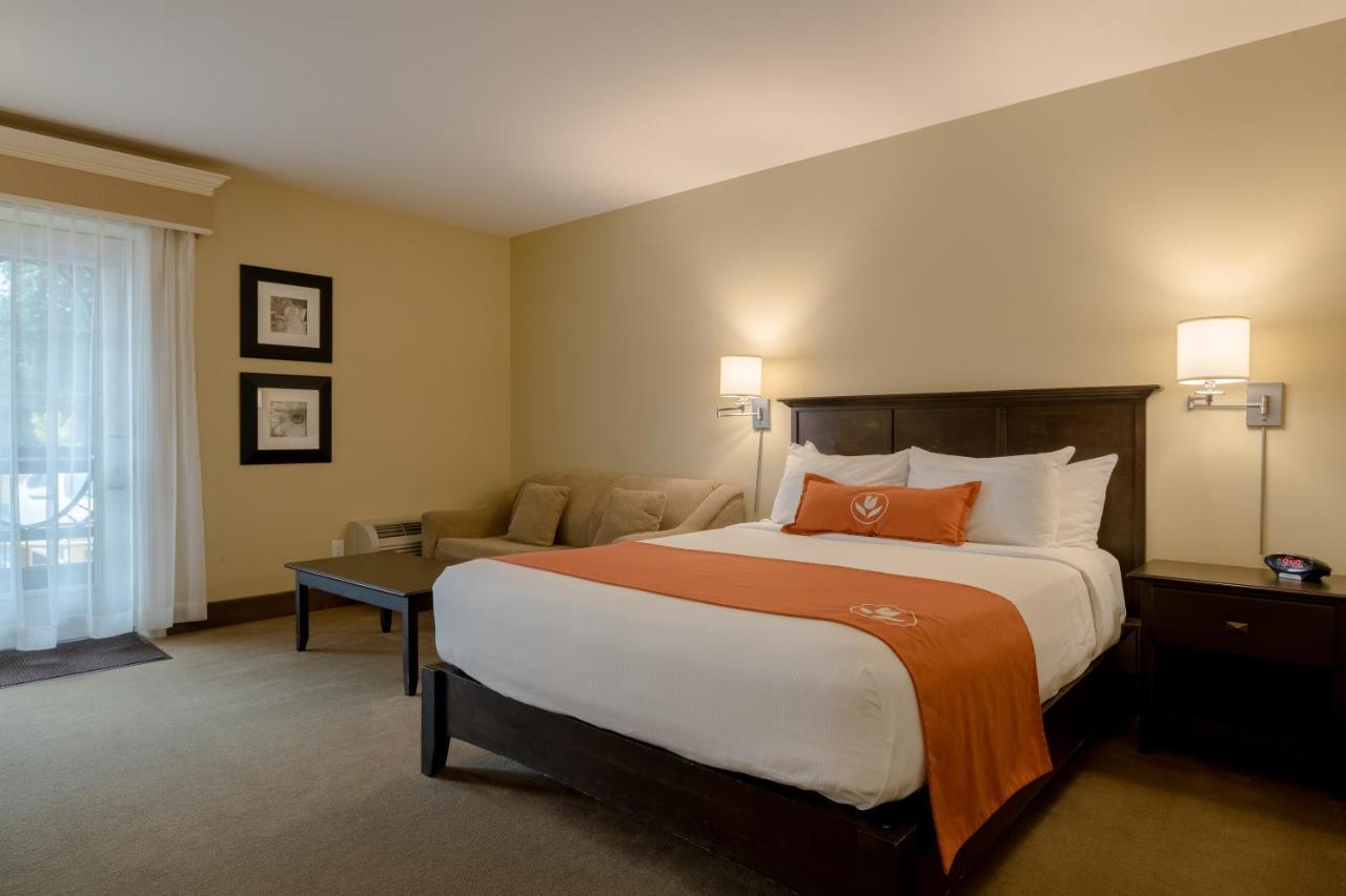 Amsterdam Inn & Suites サセックス エクステリア 写真
