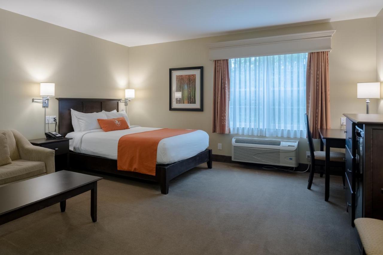 Amsterdam Inn & Suites サセックス エクステリア 写真