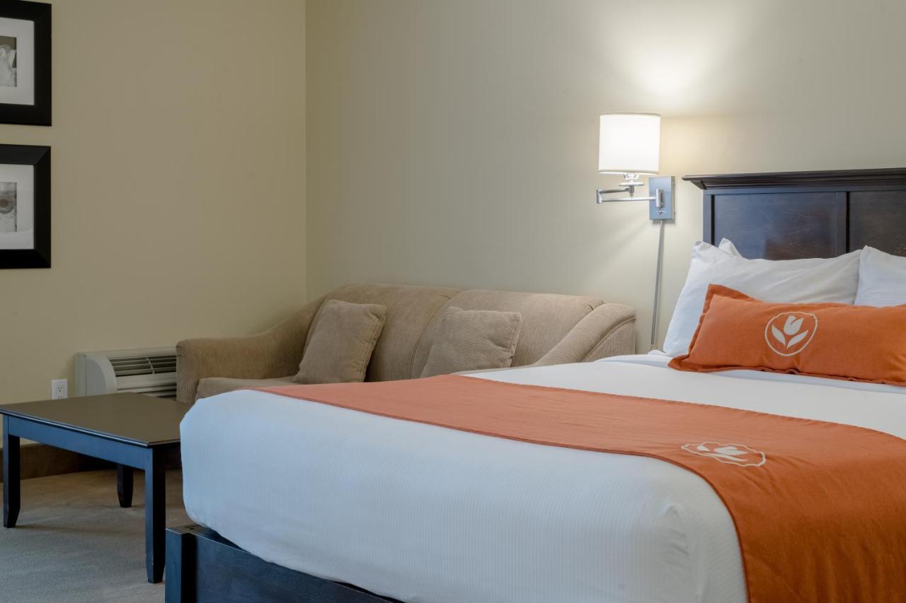 Amsterdam Inn & Suites サセックス エクステリア 写真