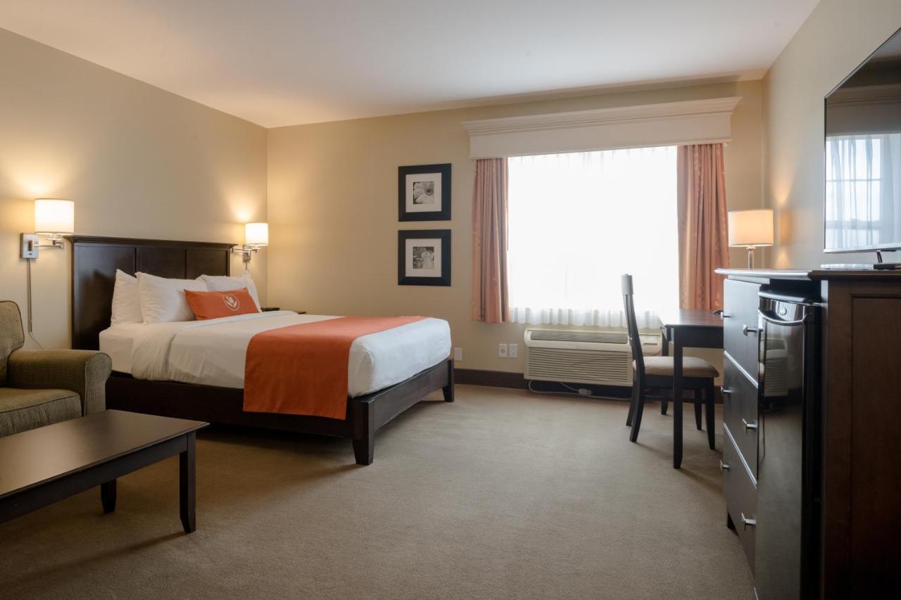 Amsterdam Inn & Suites サセックス エクステリア 写真