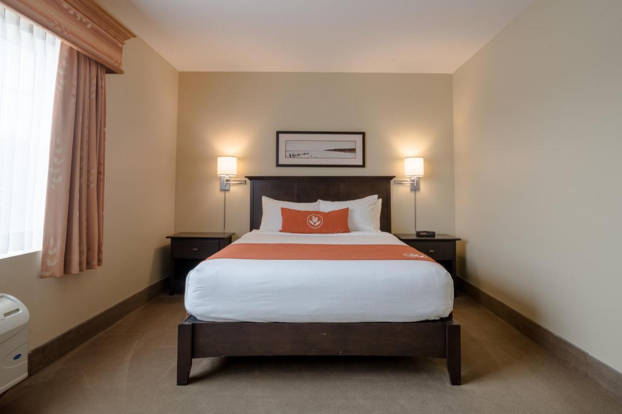 Amsterdam Inn & Suites サセックス エクステリア 写真