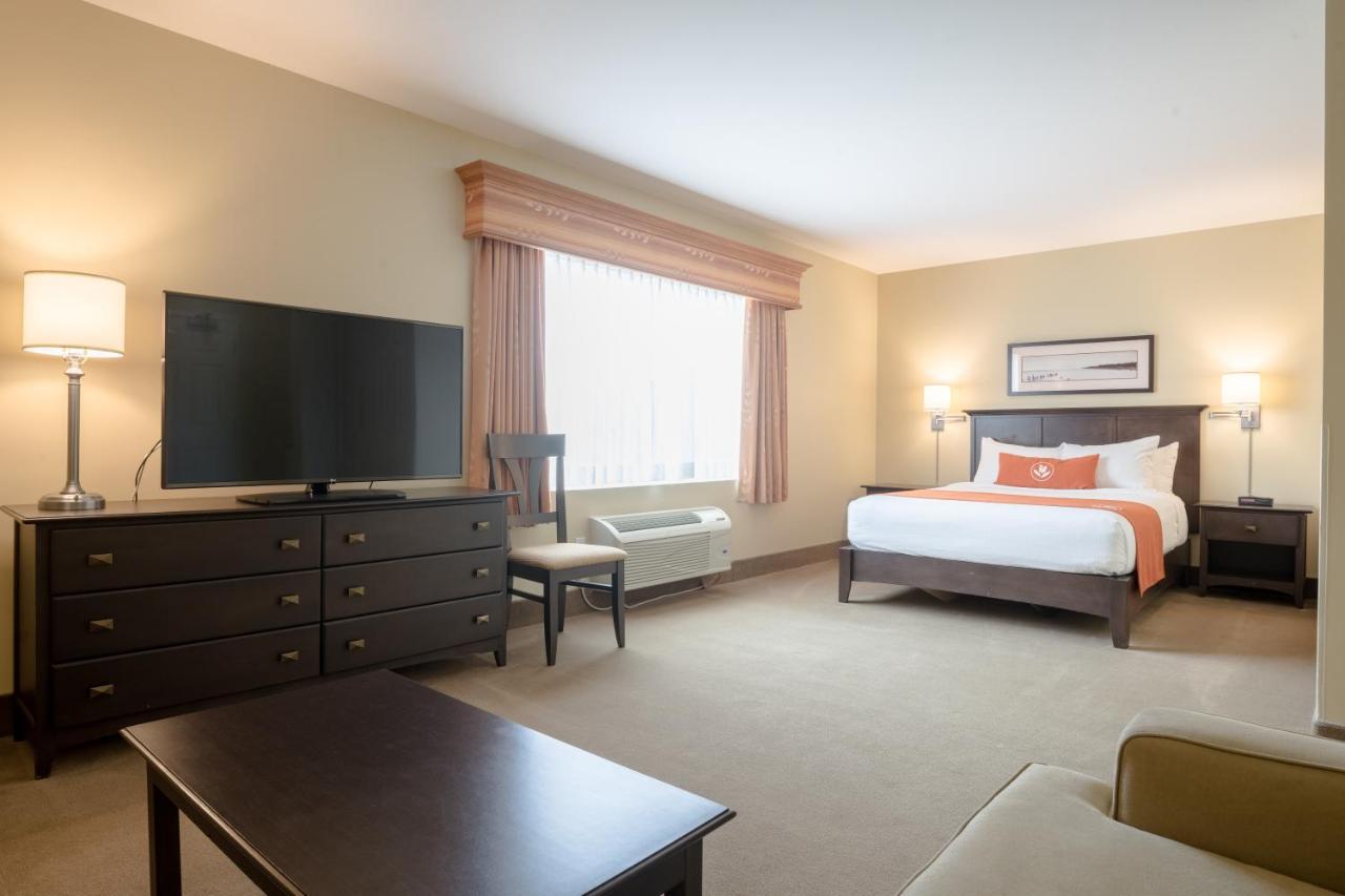 Amsterdam Inn & Suites サセックス エクステリア 写真