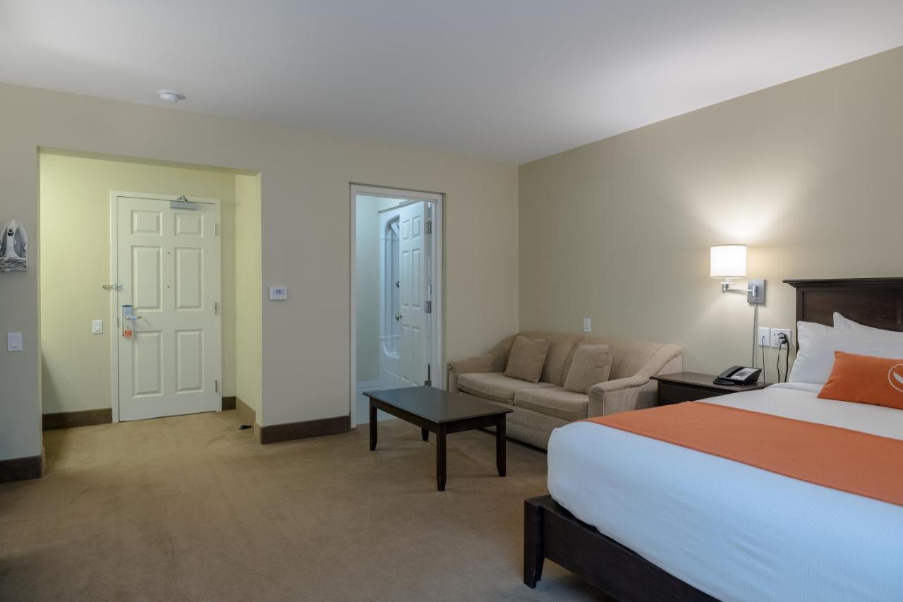 Amsterdam Inn & Suites サセックス エクステリア 写真