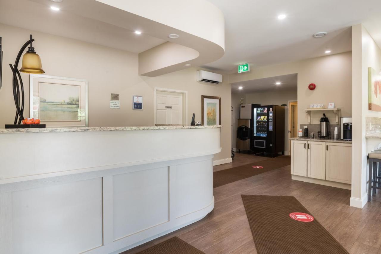 Amsterdam Inn & Suites サセックス エクステリア 写真