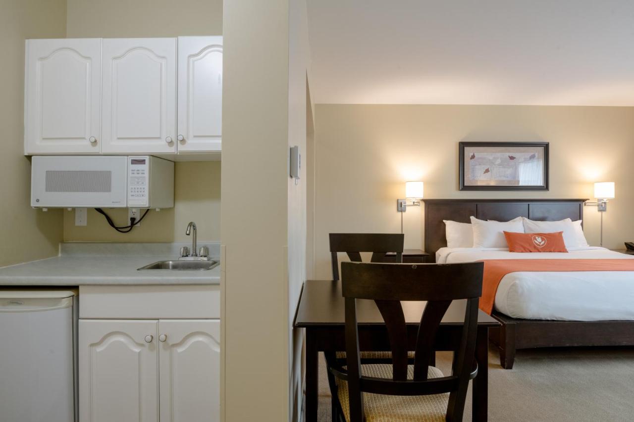 Amsterdam Inn & Suites サセックス エクステリア 写真