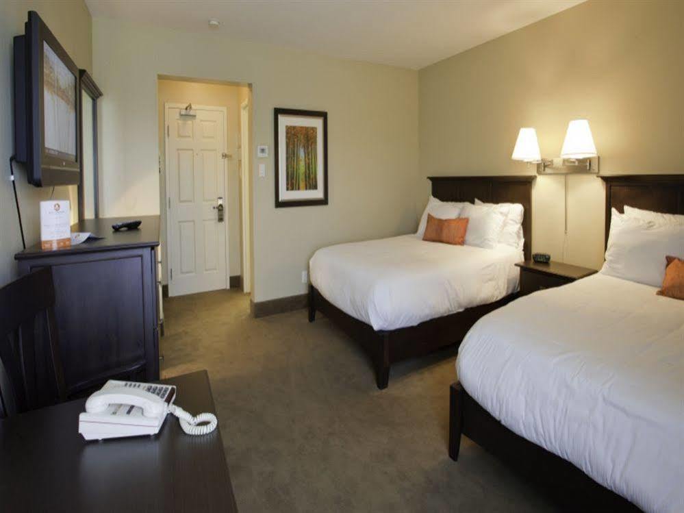 Amsterdam Inn & Suites サセックス エクステリア 写真