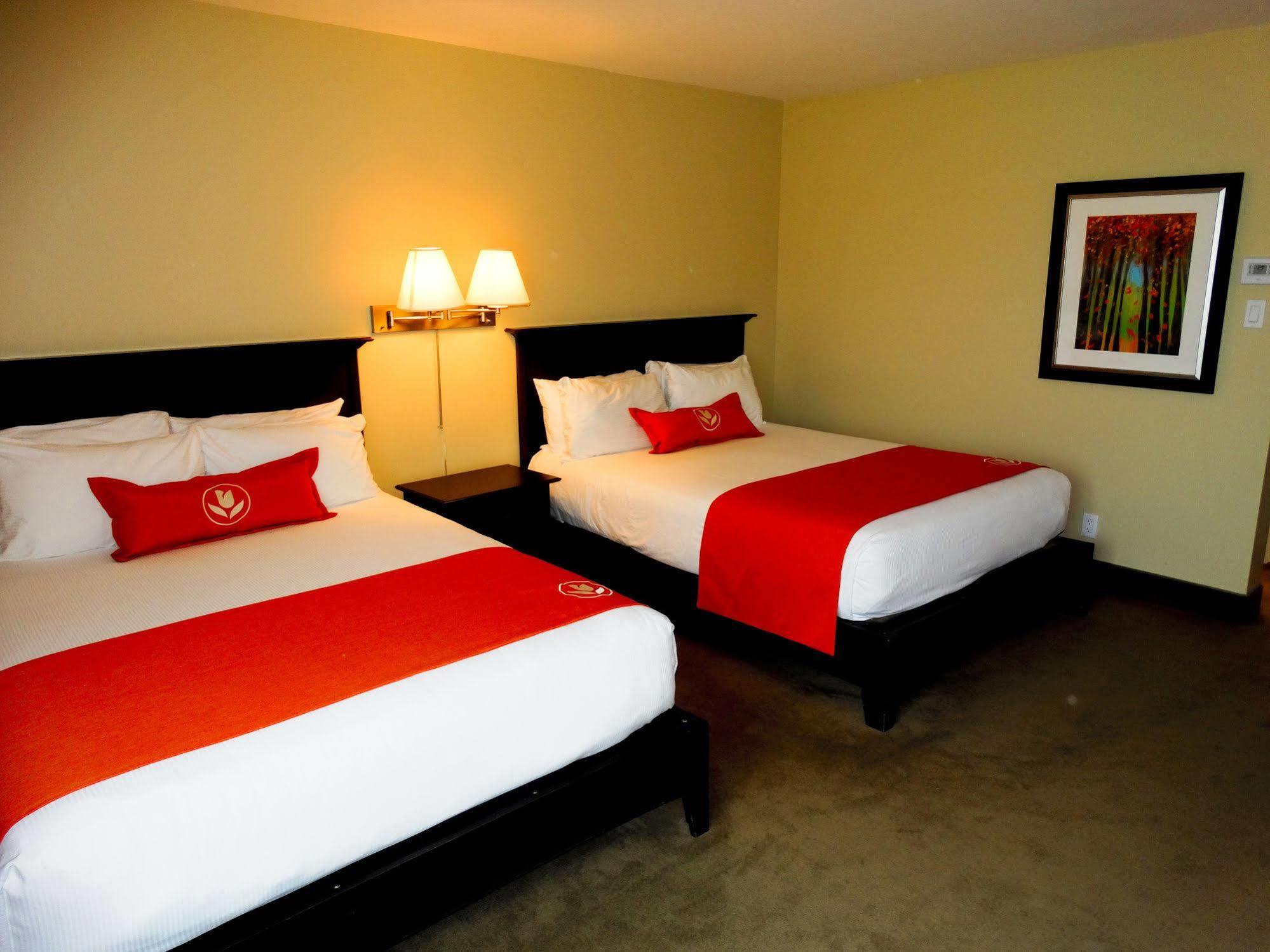 Amsterdam Inn & Suites サセックス エクステリア 写真