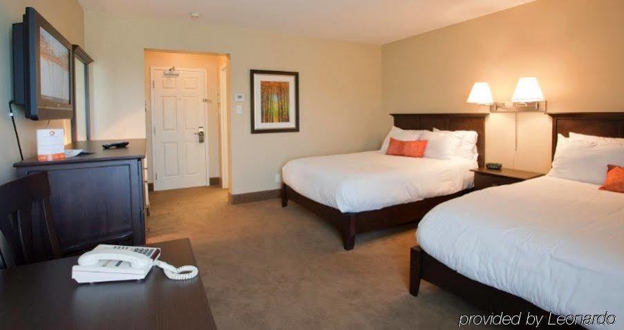 Amsterdam Inn & Suites サセックス エクステリア 写真